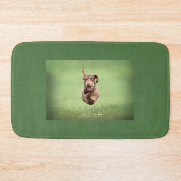 Item preview, Flying Dachshund designed and sold by Carrie Southerton Dog Photography.