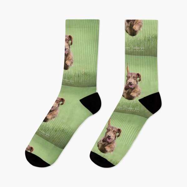 Item preview, Flying Dachshund designed and sold by Carrie Southerton Dog Photography.