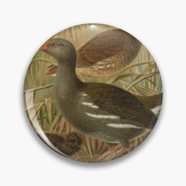 Item preview, Two Beautiful Birds And A Chick designed and sold by laguitan10.