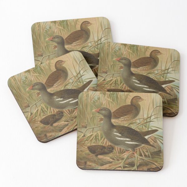 Item preview, Two Beautiful Birds And A Chick designed and sold by laguitan10.