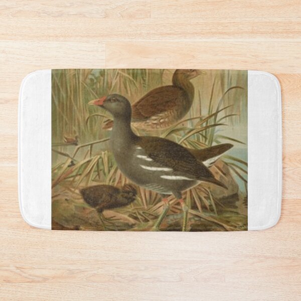 Item preview, Two Beautiful Birds And A Chick designed and sold by laguitan10.