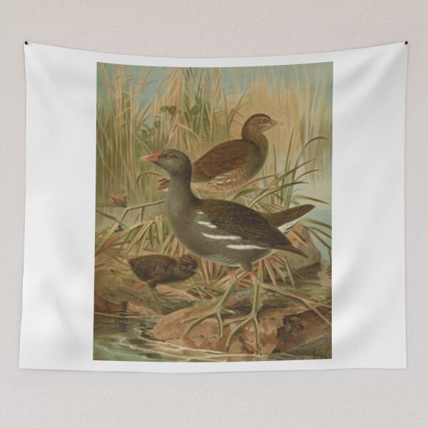 Item preview, Two Beautiful Birds And A Chick designed and sold by laguitan10.