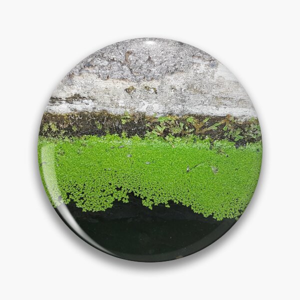 Item preview, Levada on Madeira 3 designed and sold by raumbildwelt.