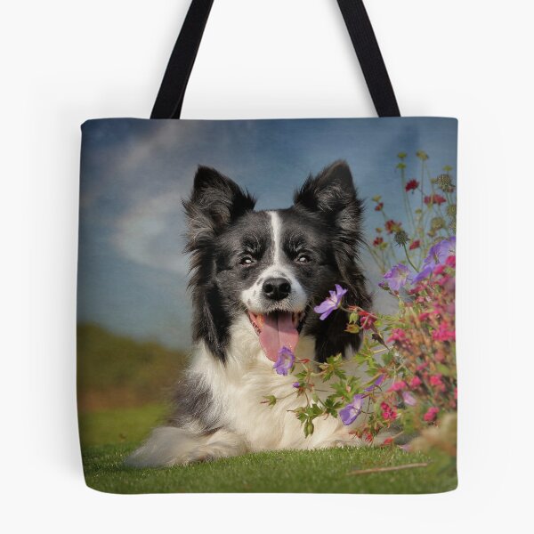 Item preview, Border Collie designed and sold by Carrie Southerton Dog Photography.
