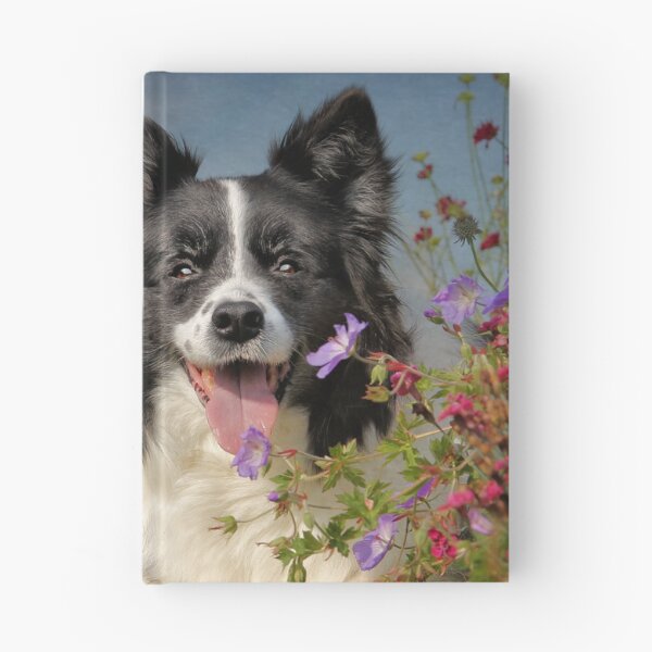 Item preview, Border Collie designed and sold by Carrie Southerton Dog Photography.