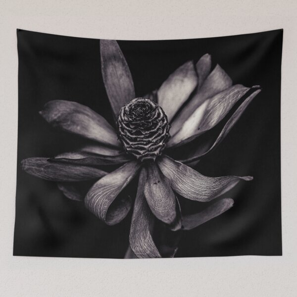 Item preview, Dried Plant on Black designed and sold by MisterSquid.