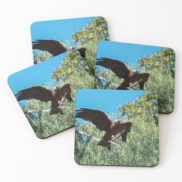 Item preview, Whistling kite photo designed and sold by hendrikspix.