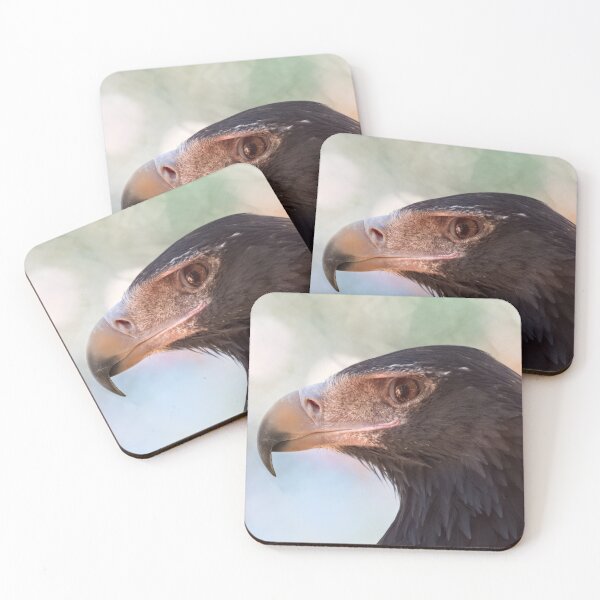 Item preview, Wedge-tailed eagle portrait photo designed and sold by hendrikspix.