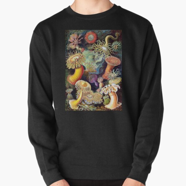 Haeckel illustration Pullover Sweatshirt