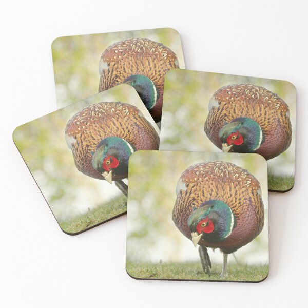 Item preview, Pheasant designed and sold by Macrae images.