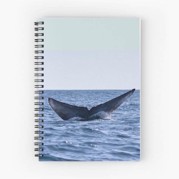 Item preview, Fluke of a Blue whale diving into the deep Atlantic, at Azores islands. designed and sold by AylaHarbich.