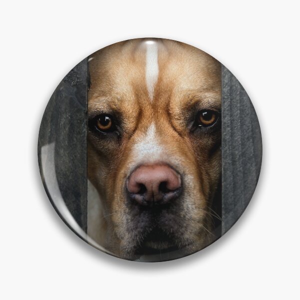 Item preview, Here's Johnny! designed and sold by Carrie Southerton Dog Photography.