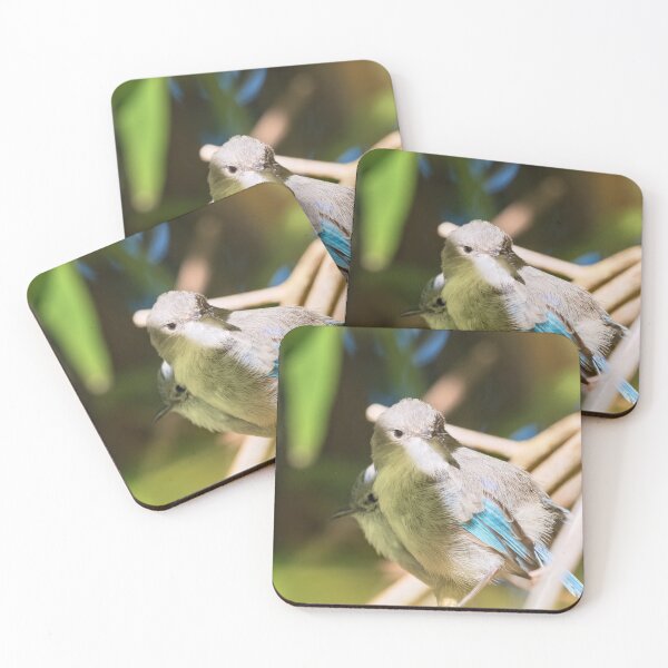 Item preview, Pair of Splendid fairywrens  designed and sold by hendrikspix.