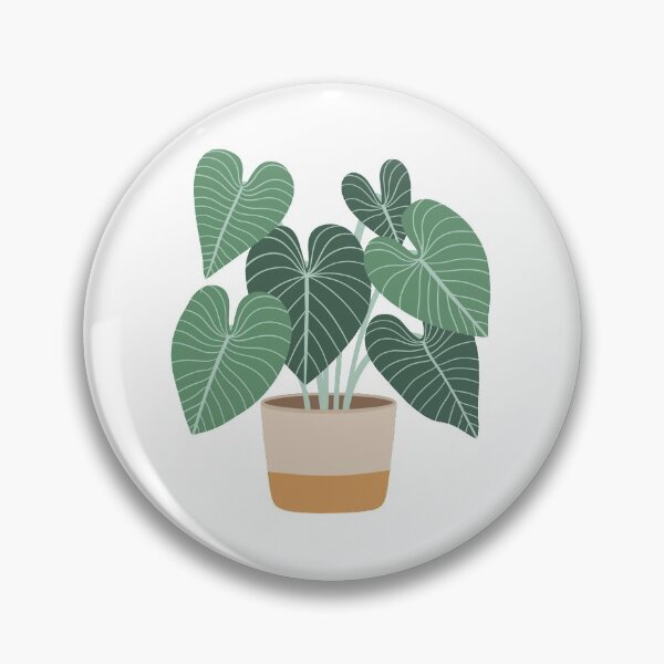 Item preview, Plant Aesthetic  designed and sold by jamiemaher15.