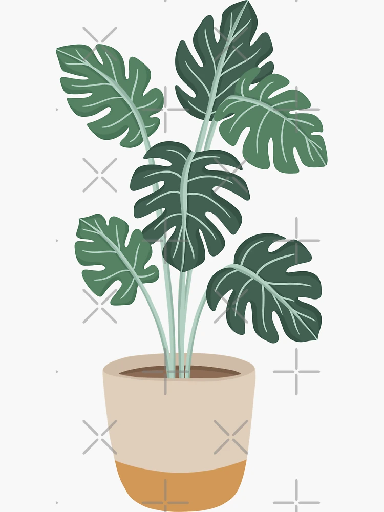 Plant Aesthetic  Pin for Sale by Jamie Maher