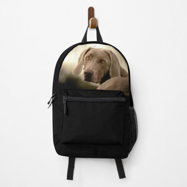Item preview, Carrie Southerton Photography - Weimaraner designed and sold by Carrie Southerton Dog Photography.