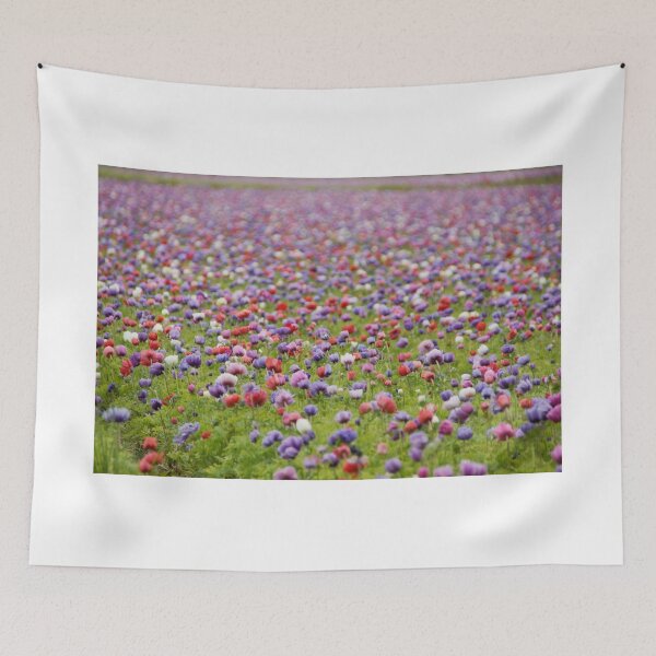 Item preview, Coloured field designed and sold by DCarlier.