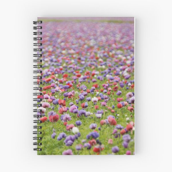 Item preview, Coloured field designed and sold by DCarlier.