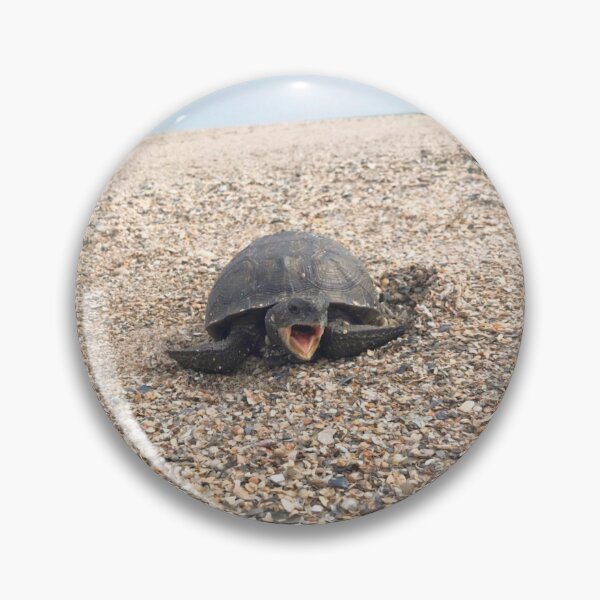 Item preview, Funny and cute sea turtle at the beach designed and sold by Barolina.