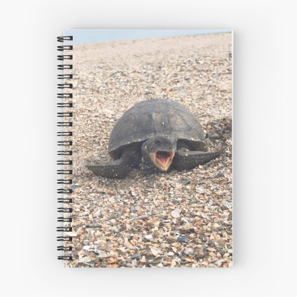 Item preview, Funny and cute sea turtle at the beach designed and sold by Barolina.