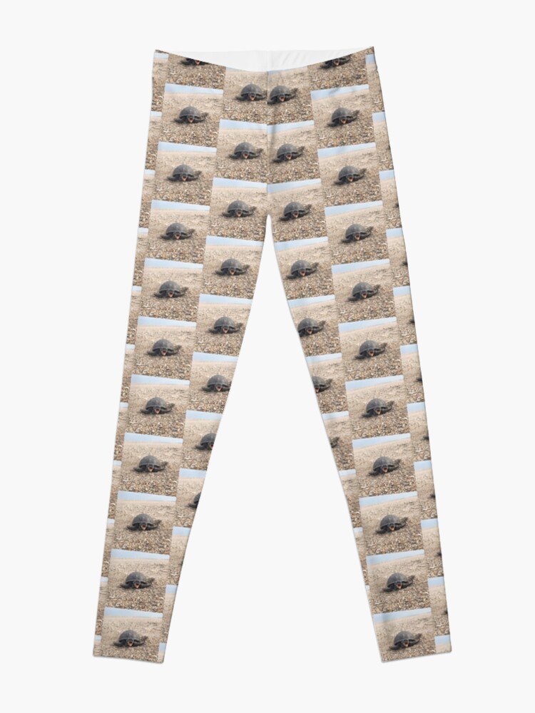 Discover Funny And Cute Sea Turtle At The Beach Leggings