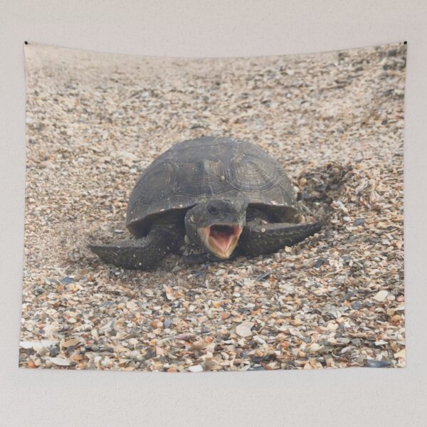 Item preview, Funny and cute sea turtle at the beach designed and sold by Barolina.