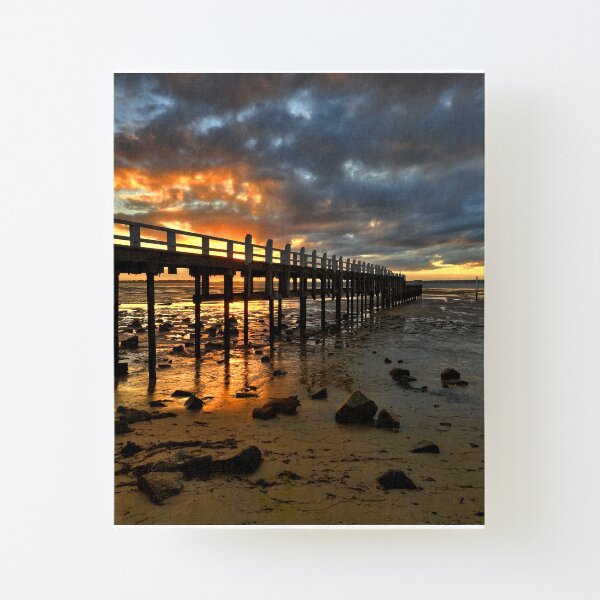 Canvas Mounted Print