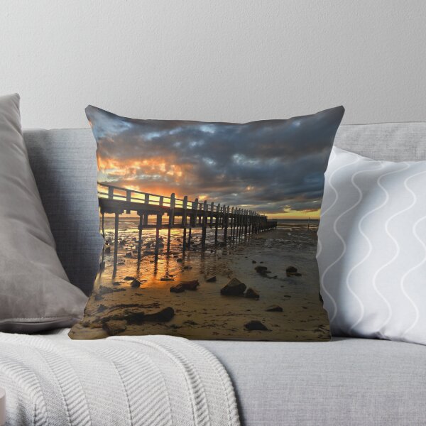 Throw Pillow