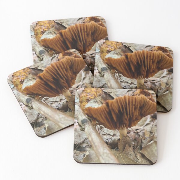 Artikelvorschau, Pilz im Wald entworfen und verkauft von Totallyalive.