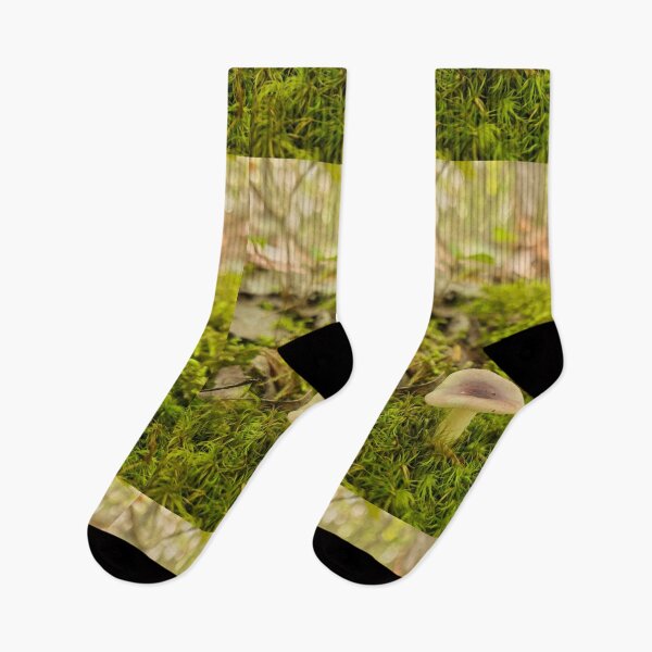 Item preview, Seta en el bosque designed and sold by Totallyalive.