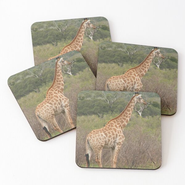 Item preview, Photo of Giraffe in the wild of Africa designed and sold by WillisDphotos.