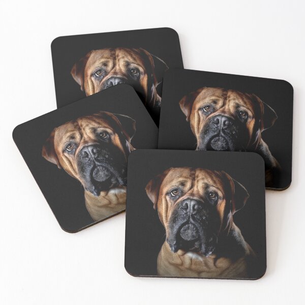 Item preview, Bull Mastiff 'Make my Day' designed and sold by Carrie Southerton Dog Photography.