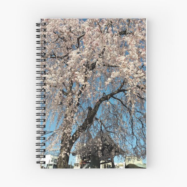 Item preview, Sakura on a Sunday designed and sold by KelseyJB16.