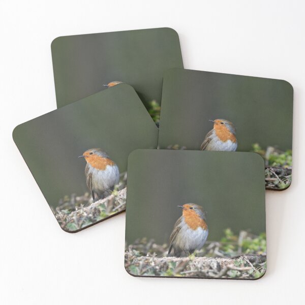 Item preview, Robin Red Breast designed and sold by rwhooster.