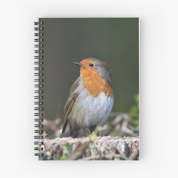 Item preview, Robin Red Breast designed and sold by rwhooster.