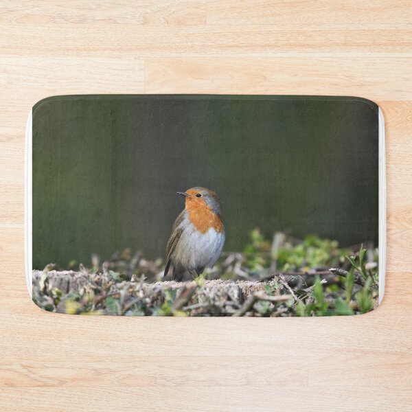 Item preview, Robin Red Breast designed and sold by rwhooster.