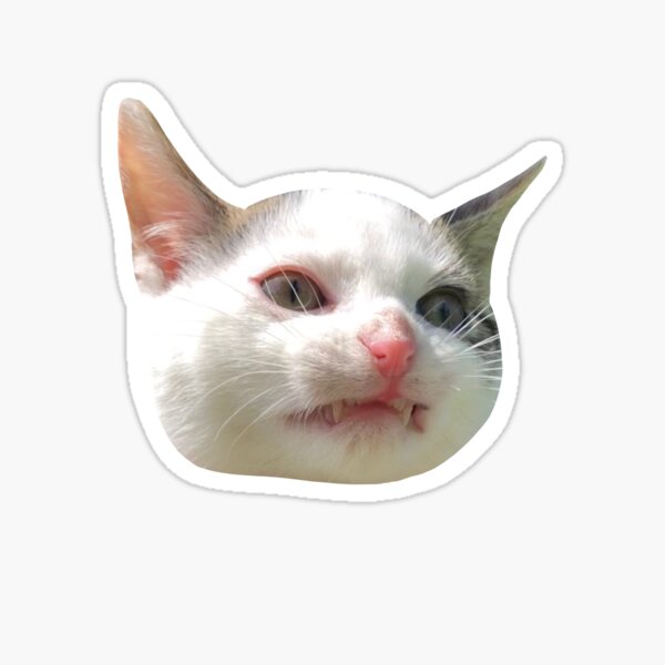 Cute angry cat hissing No. Sticker by StockPhotosArt Com - Pixels