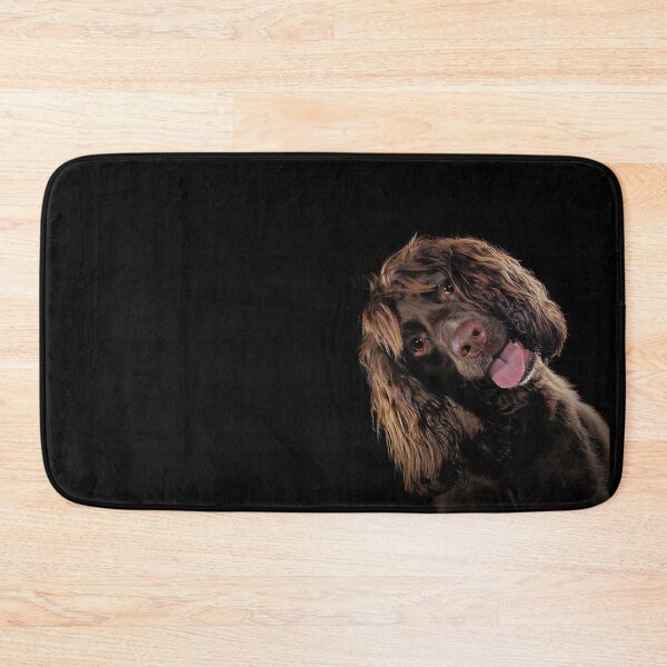 Item preview, Cute Springer Spaniel designed and sold by Carrie Southerton Dog Photography.