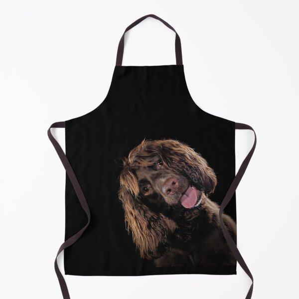Item preview, Cute Springer Spaniel designed and sold by Carrie Southerton Dog Photography.