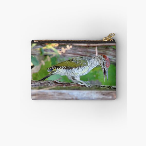 Item preview, Picus viridis designed and sold by Mythos57.
