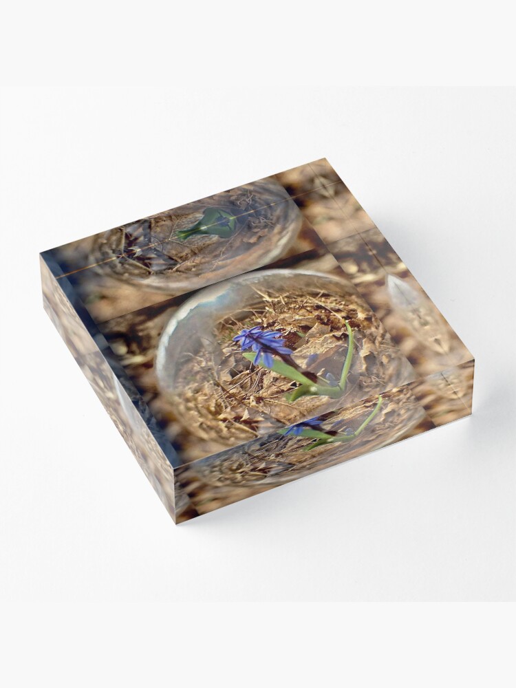 Alternate view of SPRING IS HERE BY YANNIS LOBAINA Acrylic Block