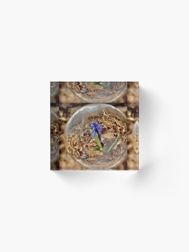 Alternate view of SPRING IS HERE BY YANNIS LOBAINA Acrylic Block