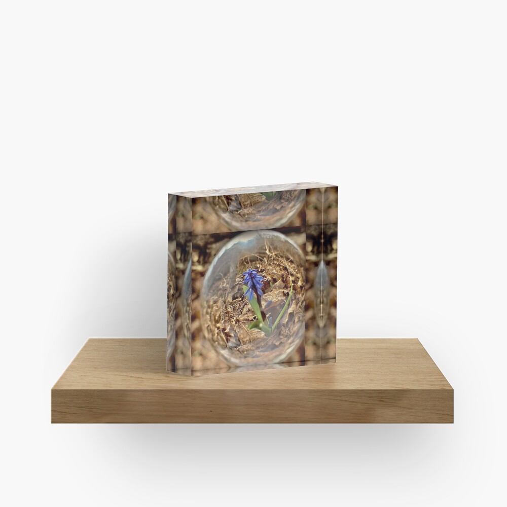 SPRING IS HERE BY YANNIS LOBAINA Acrylic Block