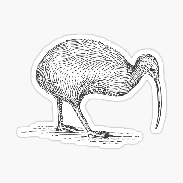 Item preview, Kiwi designed and sold by Brain-Shocker.