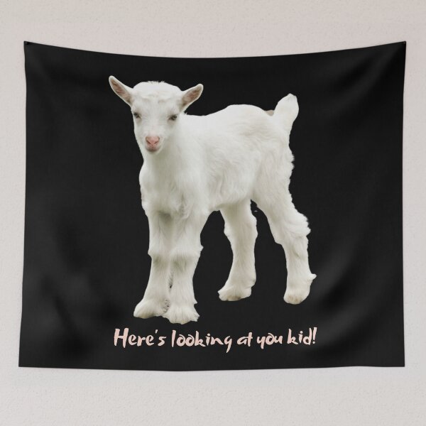 Item preview, Here's looking at you kid! Cute baby goat. Photo and text. designed and sold by JellyBeenzz.