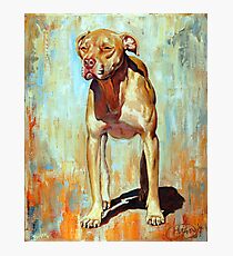 Blondie Photographic Print