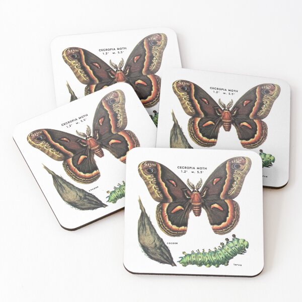 Item preview, cecropia moth life cycle designed and sold by cottagefrog.