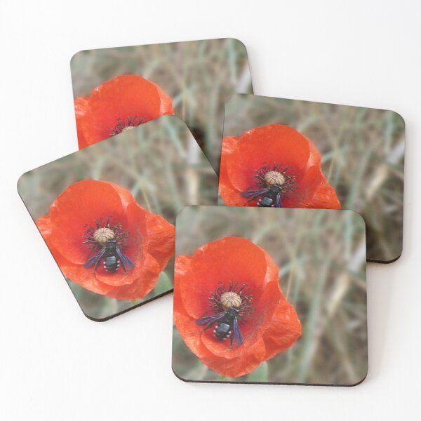 Item preview, Pollinator designed and sold by Paul Pasco.