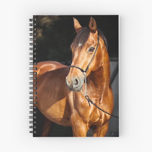 Item preview, Beautiful Brown Horse designed and sold by newburyboutique.