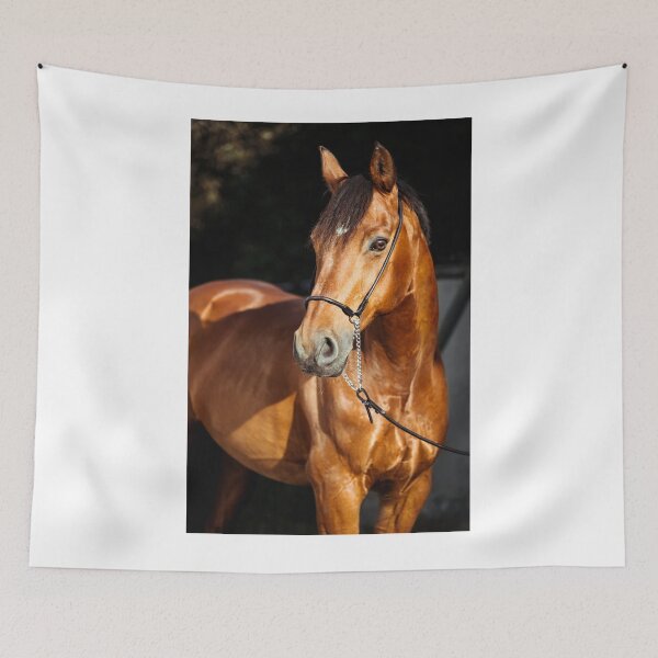 Item preview, Beautiful Brown Horse designed and sold by newburyboutique.